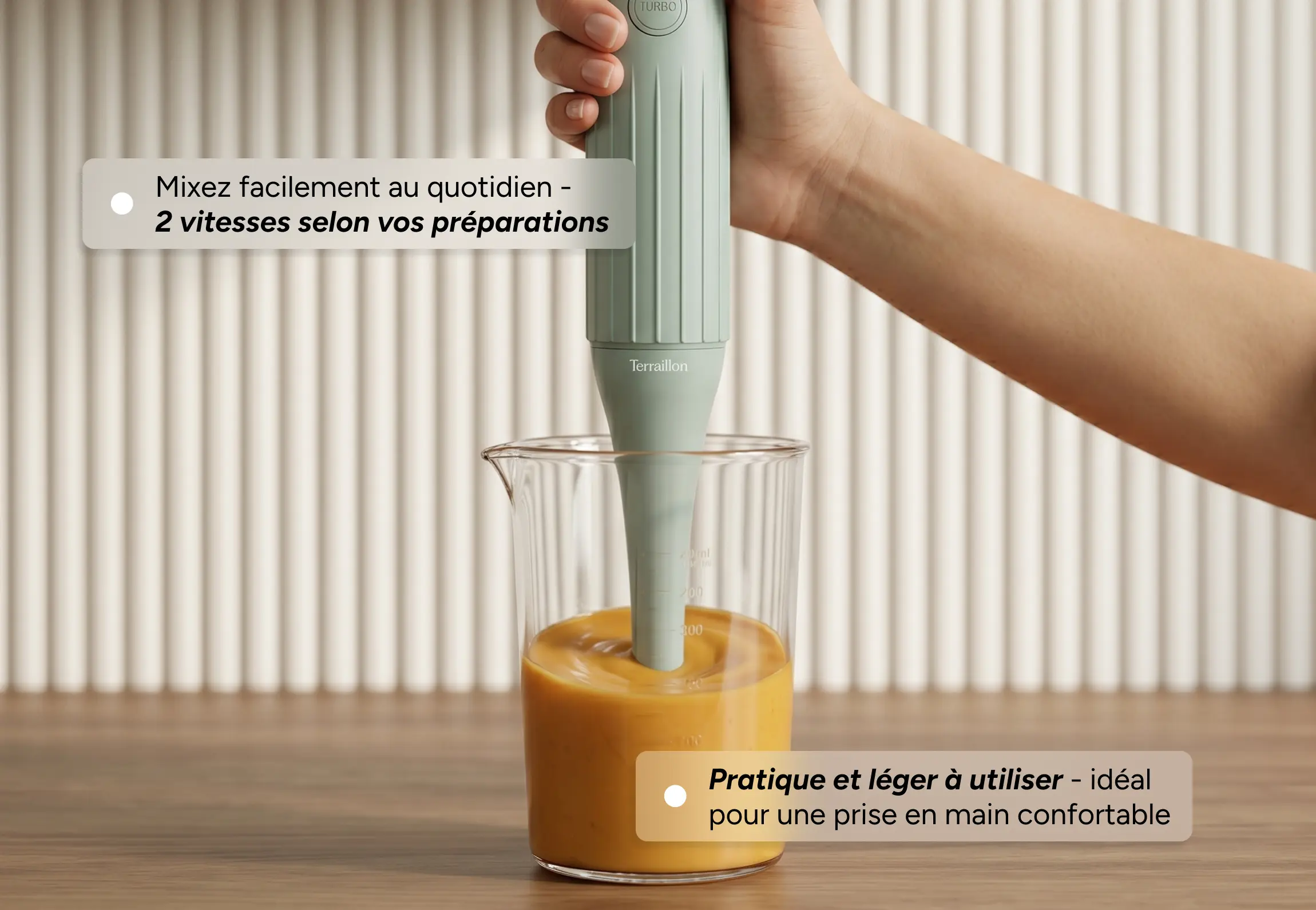 BISTRIA - Immersion Blender