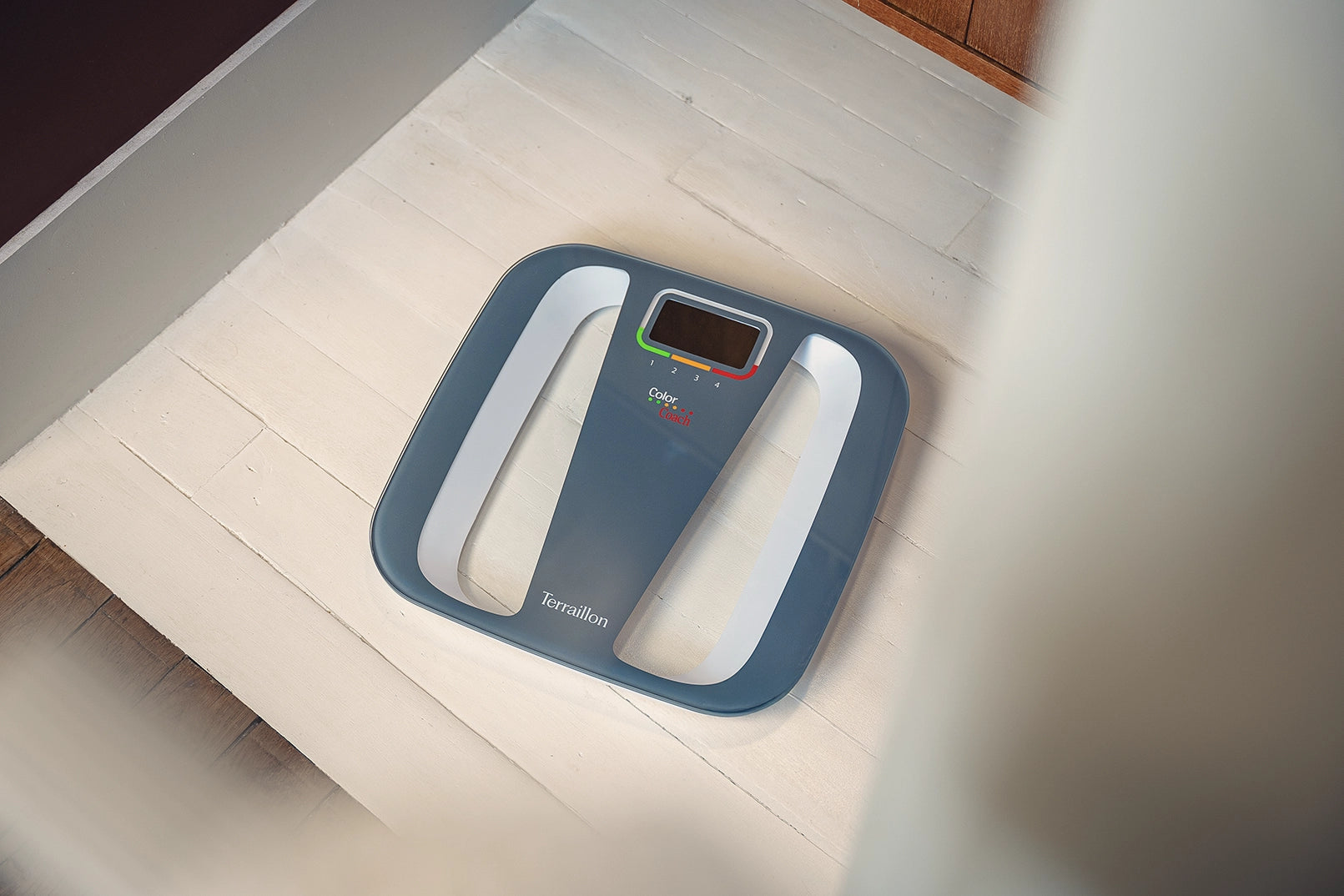 Pèse-personne électronique COLOR COACH QUATTRO vue du haut 