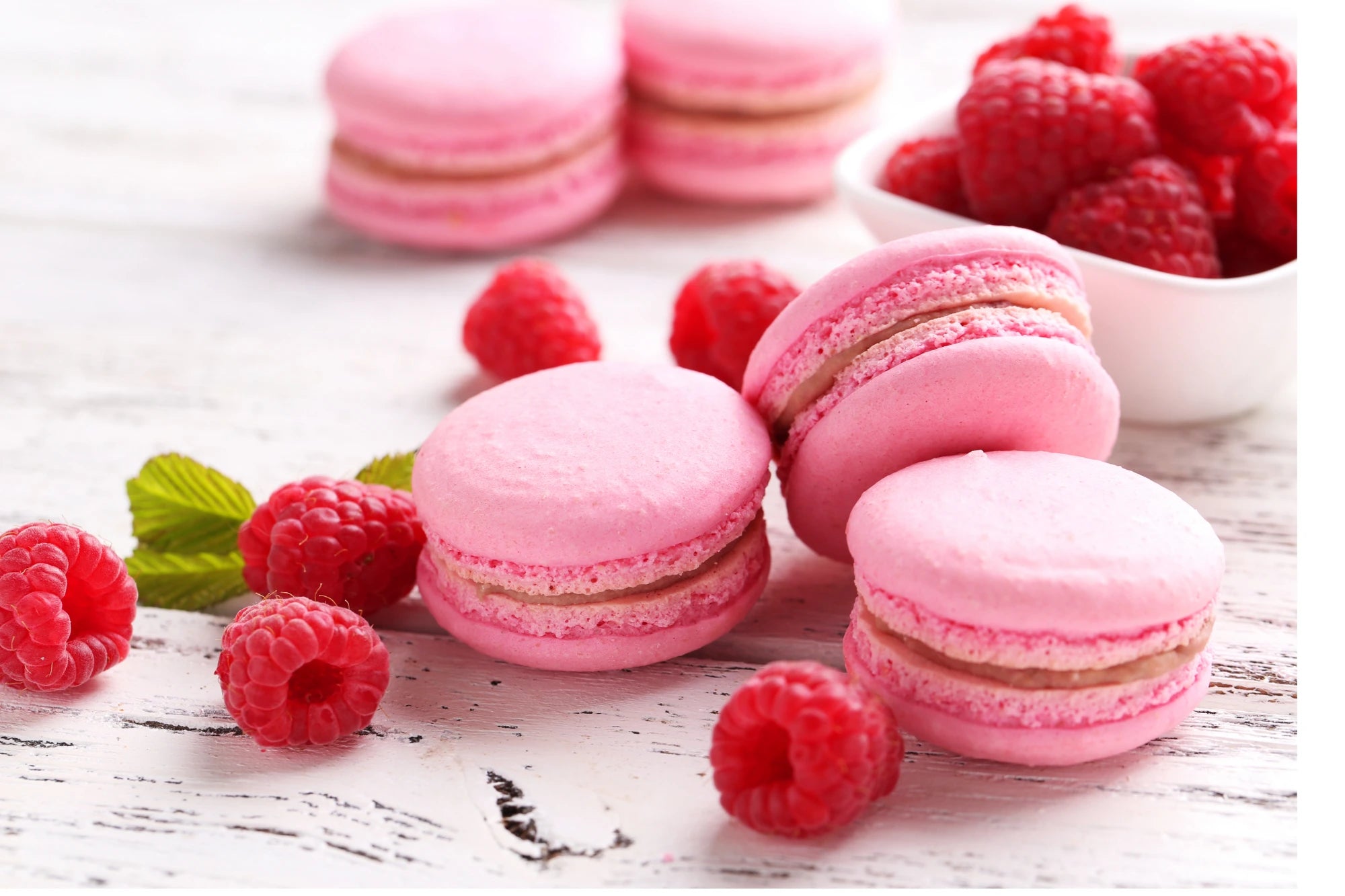 macaron framboise 